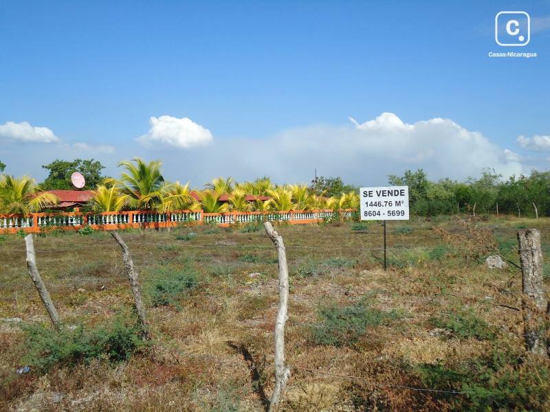 Terreno en venta en Leon – 1,447 varas²