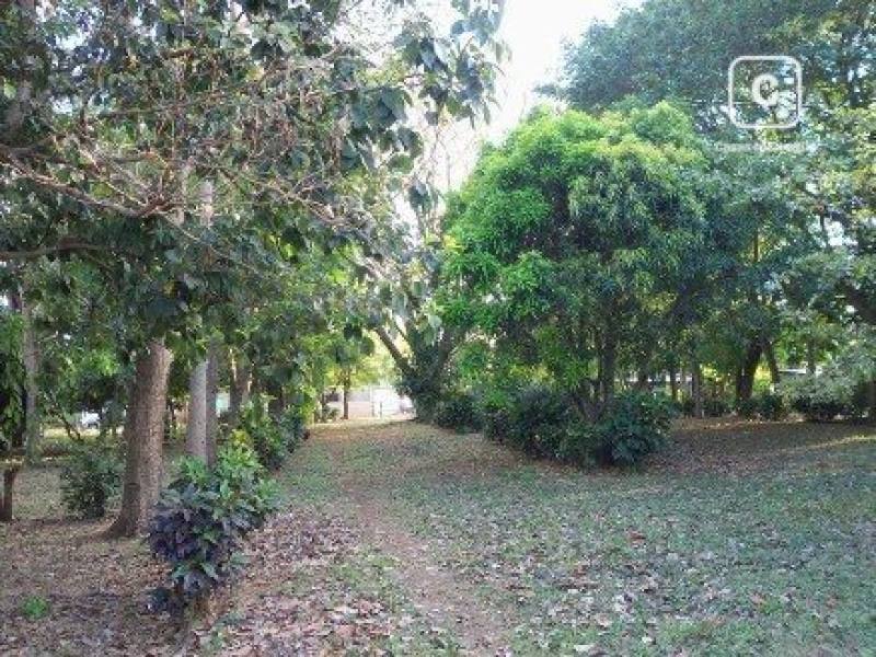 Bodega en venta en Carretera Masaya, Managua – 5,000 varas²