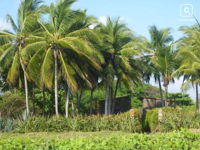 Terreno en venta en Villa el Carmen, Managua – 27,000 varas²