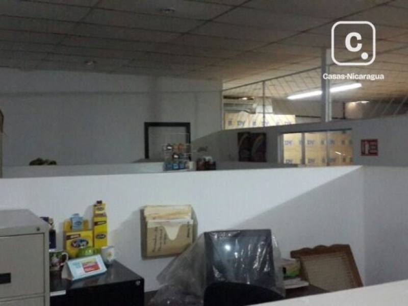 Bodega en alquiler en Altamira, Managua – 560 m²