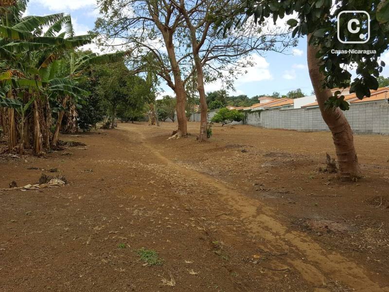 Terreno en venta en Santo Domingo, Managua – 6,500 varas²