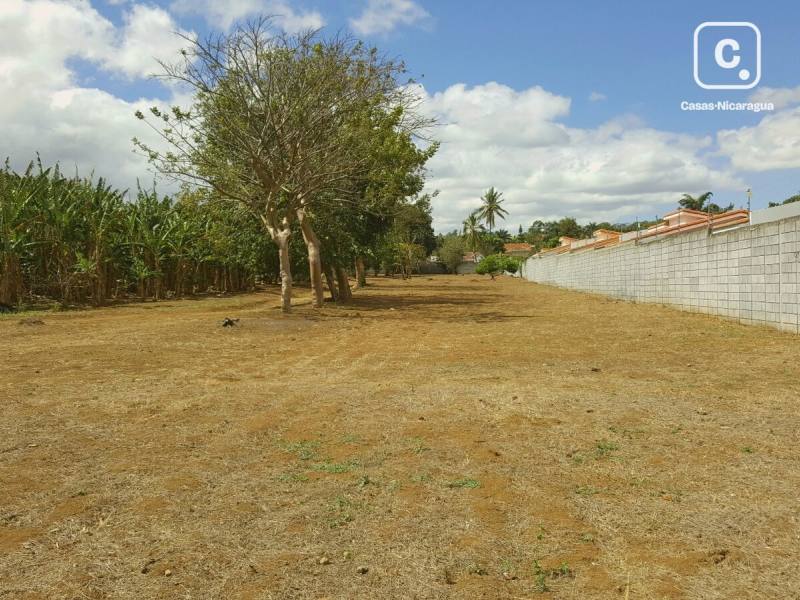 Terreno en venta en Santo Domingo, Managua – 6,500 varas²