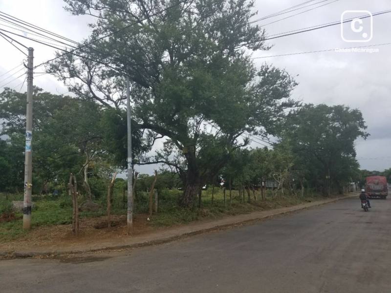 Terreno en venta en Linda Vista Norte, Managua – 12,500 varas²