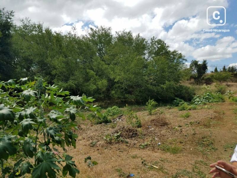 Terreno en venta en Villa Fontana, Managua – 14,000 varas²