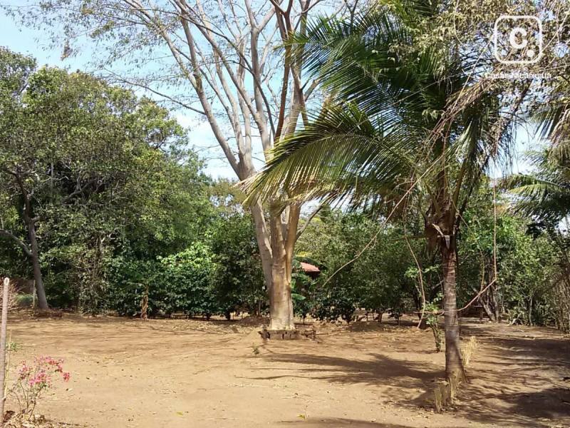 Terreno en venta en Carretera Vieja a León, Managua – 135 m²