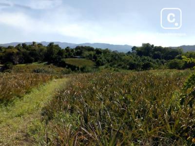Terreno en venta en Carretera a Ticuantepe, Managua – 3,000 varas²