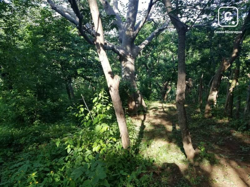 Terreno en venta en Villa Fontana, Managua – 80,000 varas²