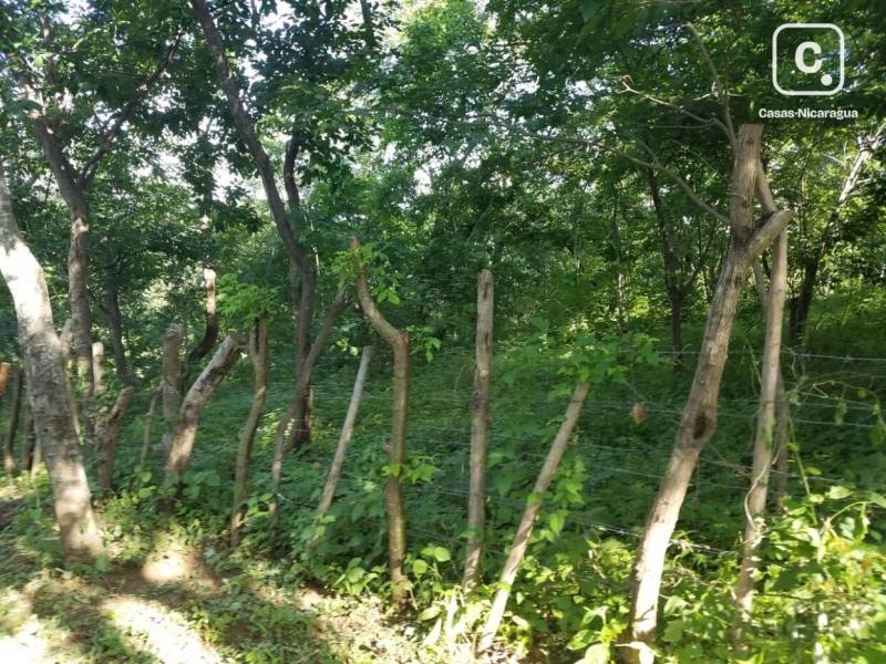 Terreno en venta en Villa Fontana, Managua – 80,000 varas²