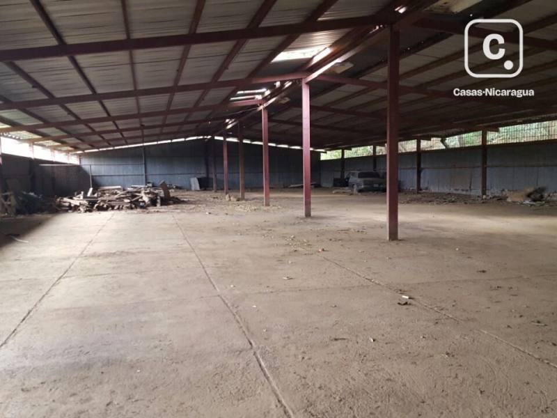 Bodega en alquiler en Pista Jean Paul Genie, Managua – 1,000 m²