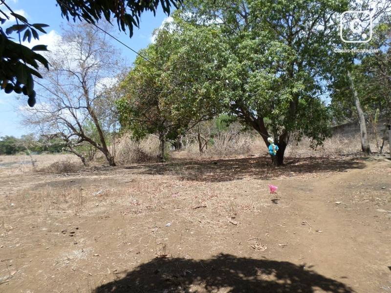 Terreno en venta en Las Colinas, Managua – 30,000 varas²