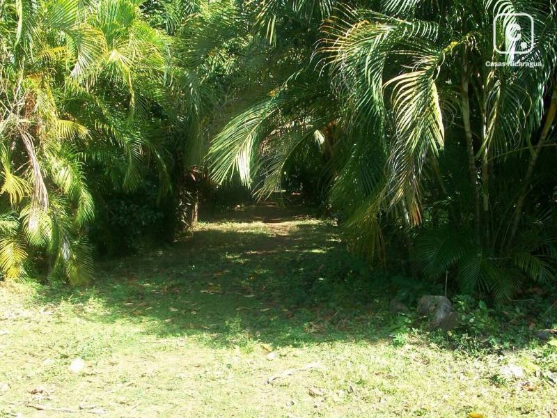Terreno en venta en Carretera Vieja a León, Managua – 25,354 varas²