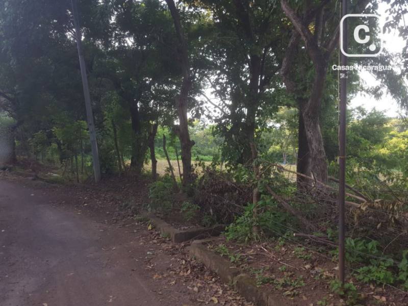 Terreno en venta en Villa Fontana, Managua – 20,000 varas²