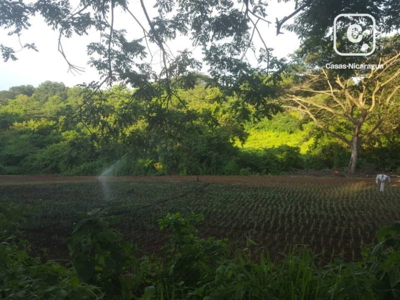Terreno en venta en Villa Fontana, Managua – 20,000 varas²