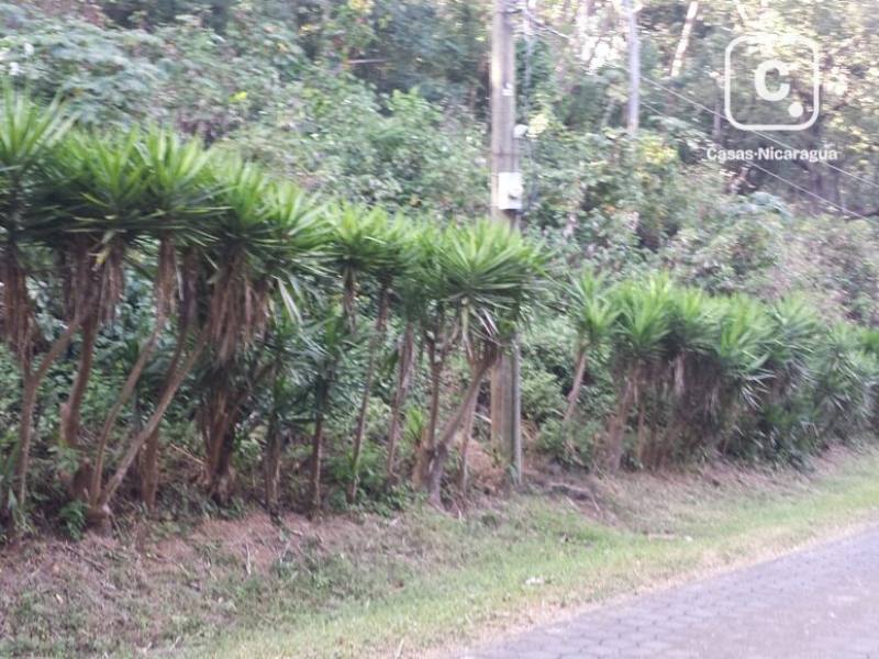 Terreno en venta en Villa Fontana, Managua – 4,979 varas²