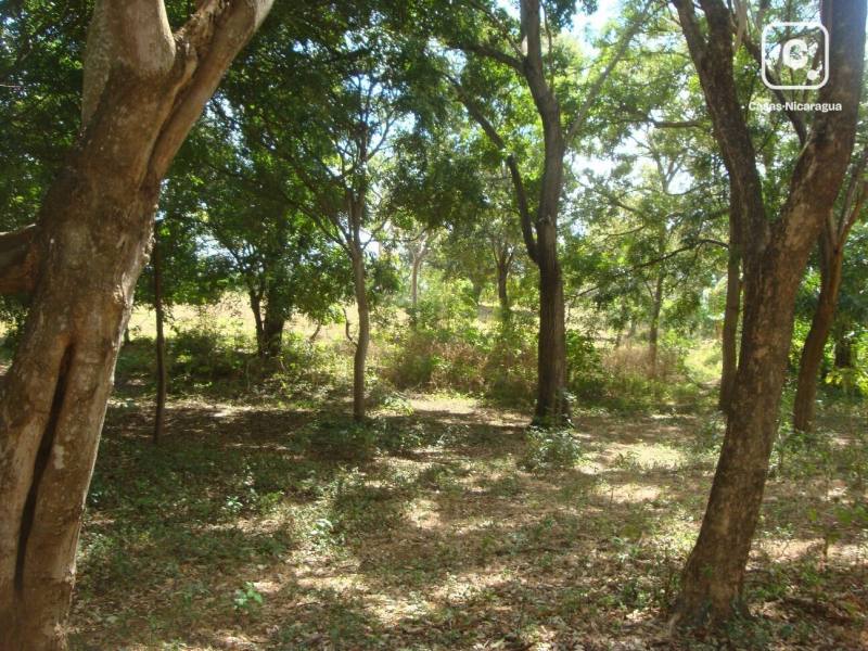 Terreno en venta en Santo Domingo, Managua – 60,000 varas²