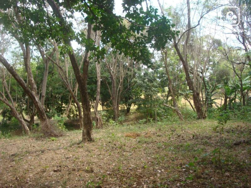 Terreno en venta en Santo Domingo, Managua – 60,000 varas²