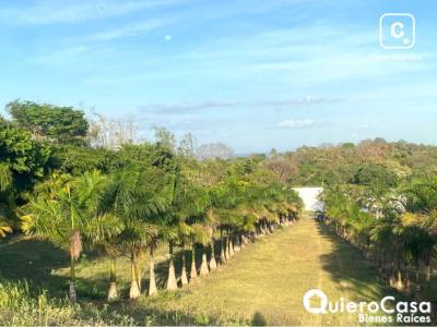 Terreno en venta en Santo Domingo, Managua – 13,135 m²