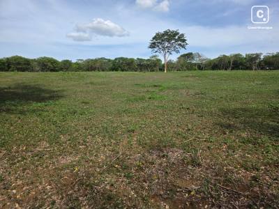 Terreno en venta en Pista Jean Paul Genie, Managua – 10,543 varas²