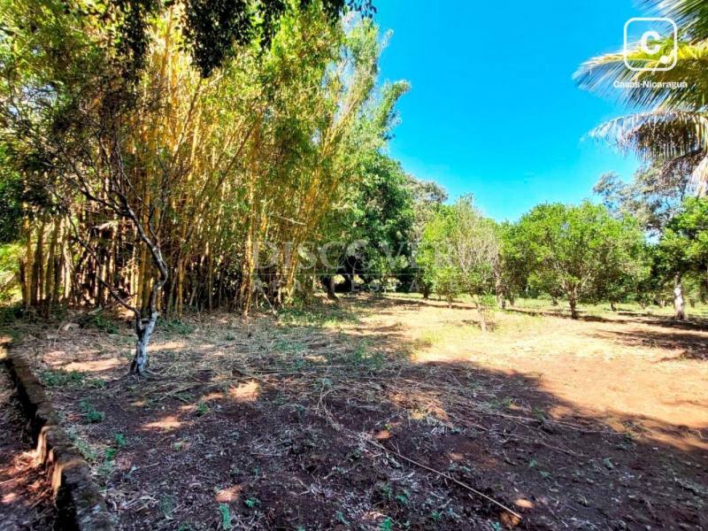 Terreno en venta en Jinotepe, Carazo – 12,344 m²