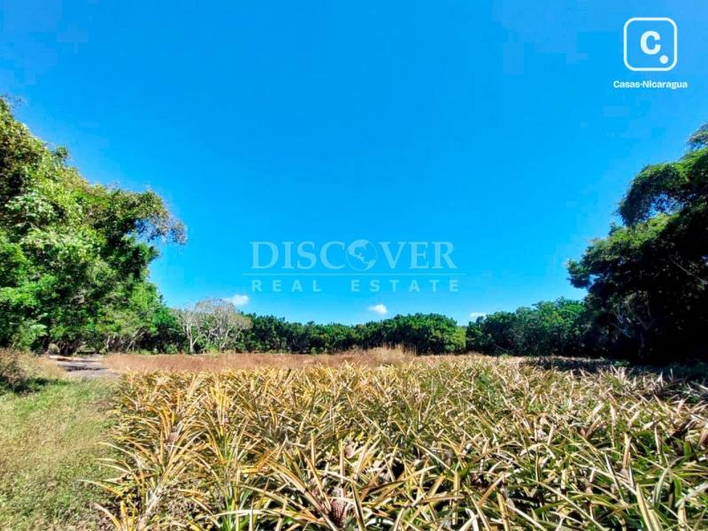 Terreno en venta en Jinotepe, Carazo – 12,344 m²