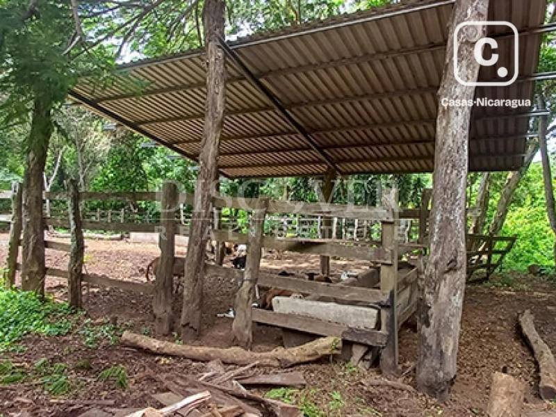 Finca en venta en Diriamba, Carazo – 2 hab, 391,872 varas²