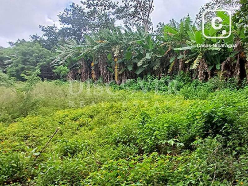 Finca en venta en Diriamba, Carazo – 2 hab, 391,872 varas²