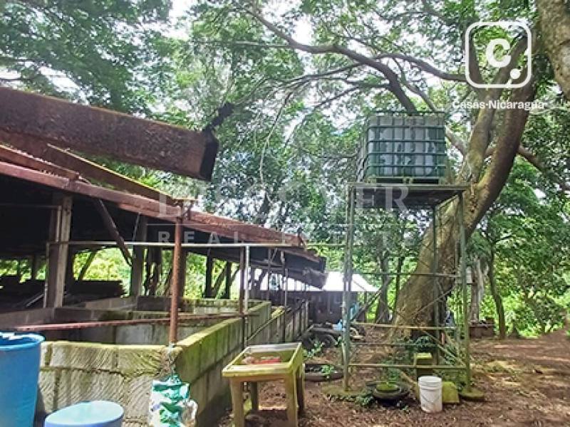 Finca en venta en Diriamba, Carazo – 2 hab, 391,872 varas²