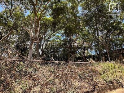 Terreno en venta en Santo Domingo, Managua – 4,000 varas²