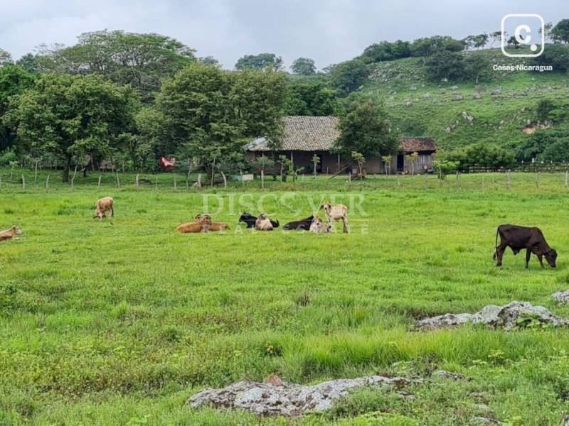 Finca en venta en Esquipulas, Managua – 2,180,800 varas²
