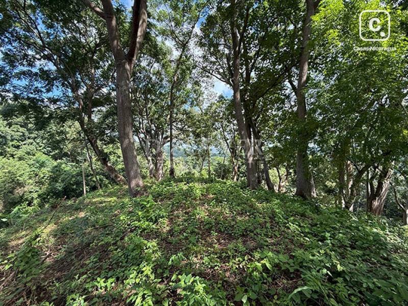 Terreno en venta en Villa Fontana, Managua – 13,439 varas²