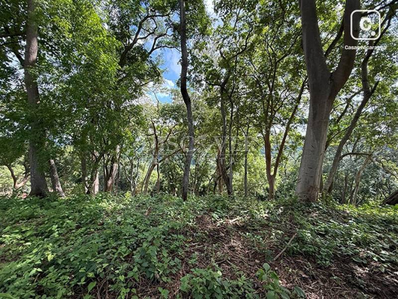 Terreno en venta en Villa Fontana, Managua – 13,439 varas²