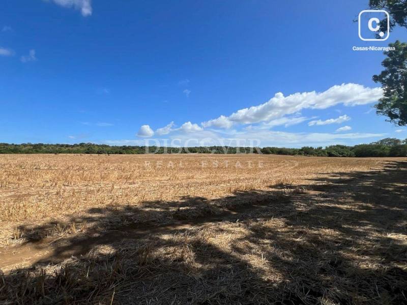 Terreno en venta en Carretera Norte, Managua – 250,000 varas²