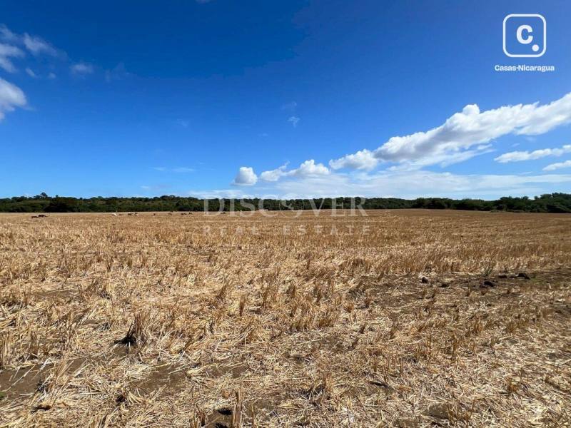 Terreno en venta en Carretera Norte, Managua – 250,000 varas²