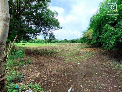 Terreno en venta en Carretera Masaya, Managua – 35,000 varas²
