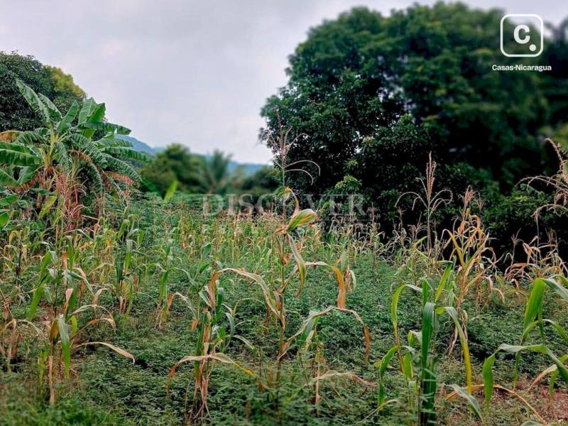 Terreno en venta en Carretera Masaya, Managua – 4,657 varas²