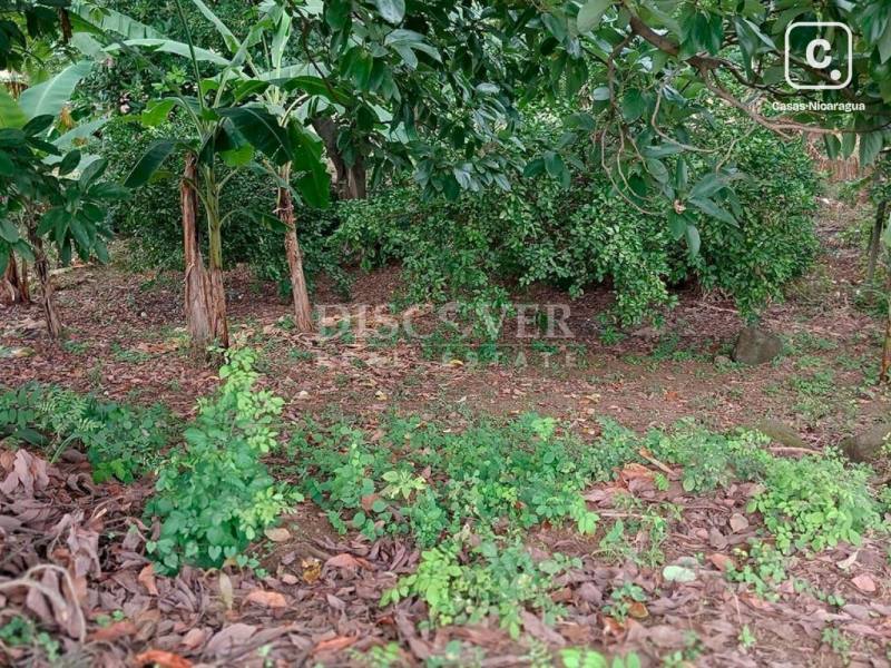 Terreno en venta en Carretera Masaya, Managua – 4,657 varas²