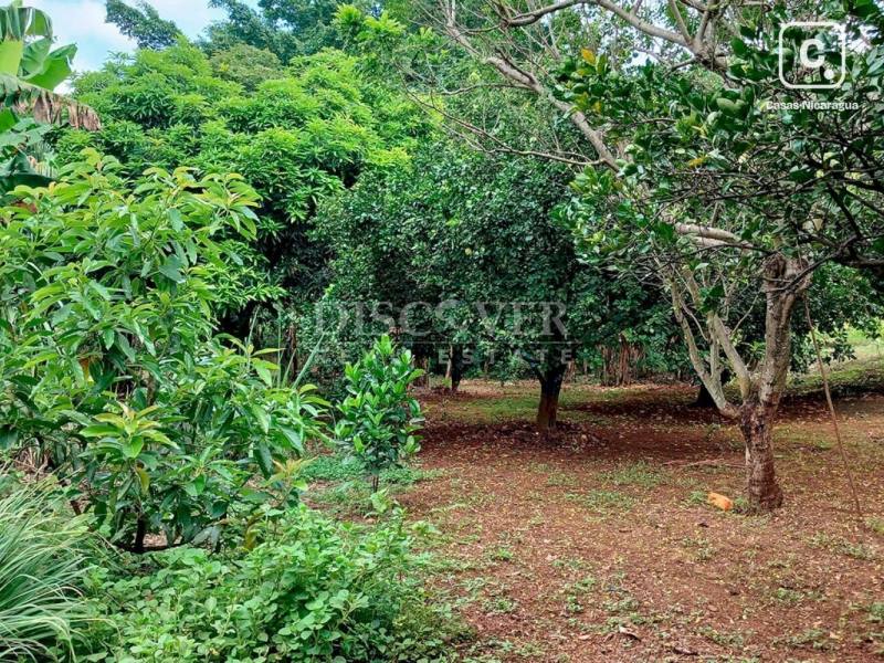 Terreno en venta en Carretera Masaya, Managua – 4,657 varas²