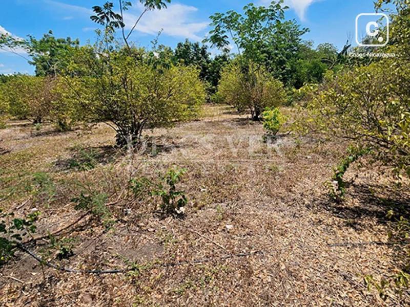Terreno en venta en Carretera Norte, Managua – 180 m²