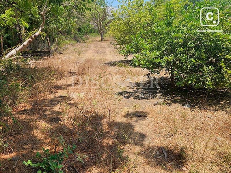 Terreno en venta en Carretera Norte, Managua – 180 m²
