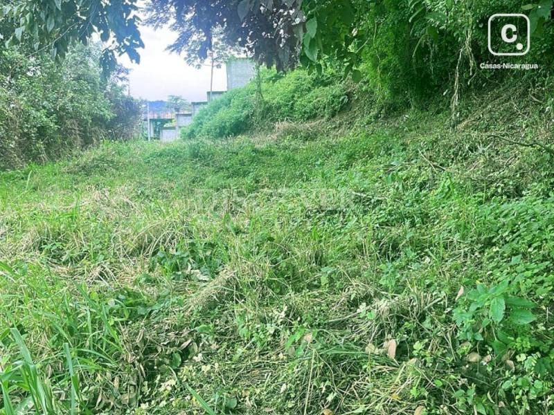 Terreno en venta en Villa Fontana, Managua – 4,263 varas²