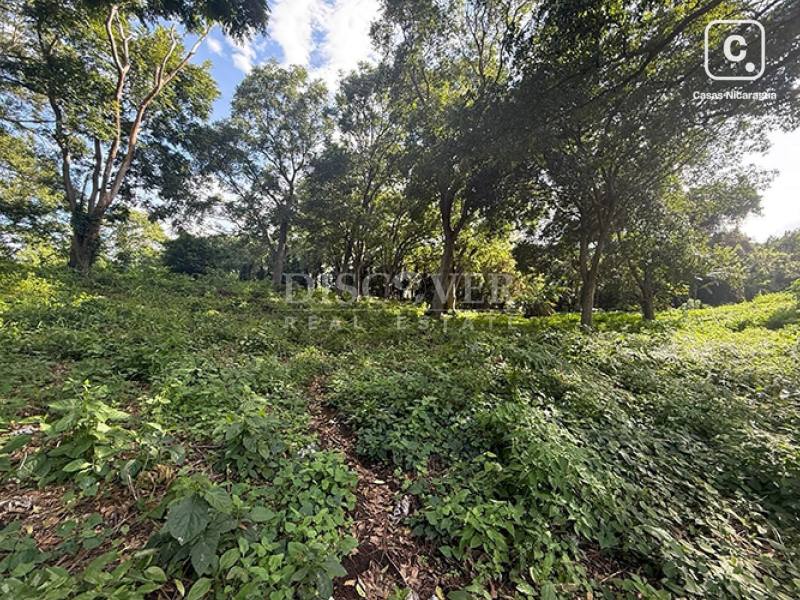 Terreno en venta en Villa Fontana, Managua – 12,348 varas²