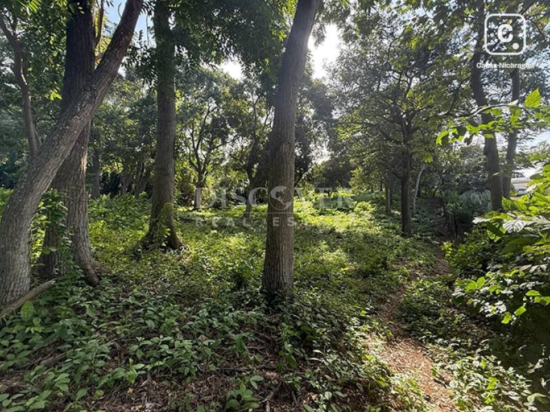 Terreno en venta en Villa Fontana, Managua – 12,348 varas²