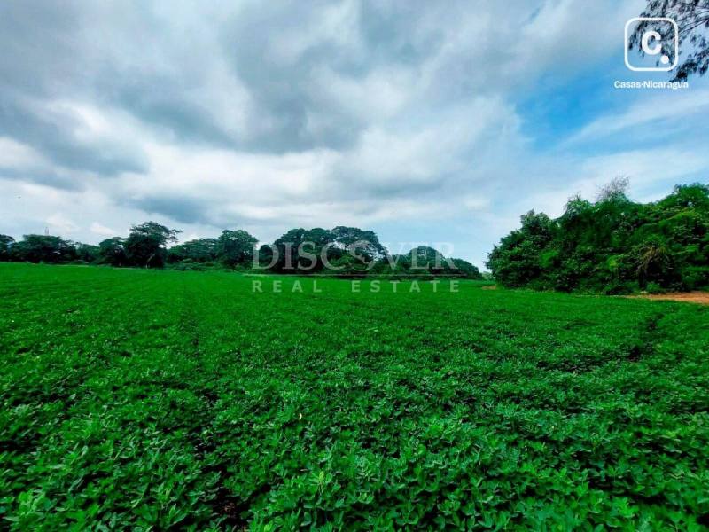 Terreno en venta en Managua – 163,000 varas²