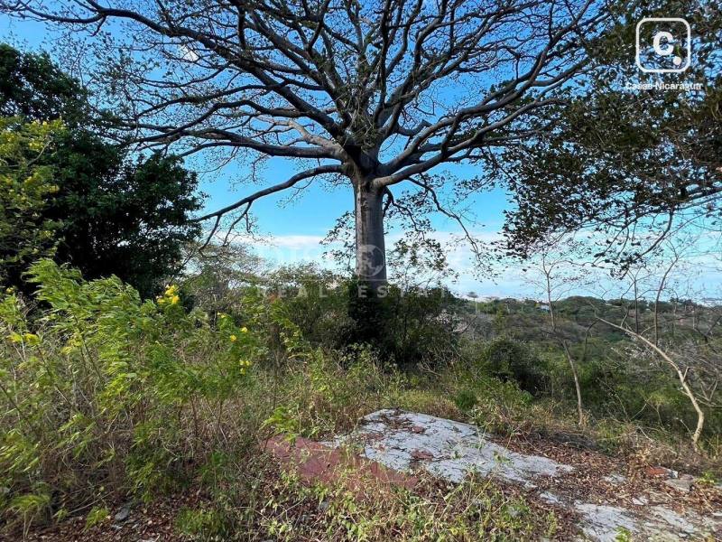 Terreno en venta en Carretera Sur, Managua – 9,408 varas²