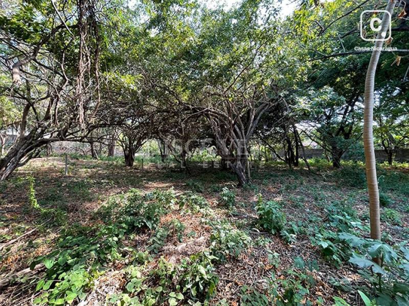 Terreno en venta en Carretera Vieja a León, Managua – 5,604 varas²
