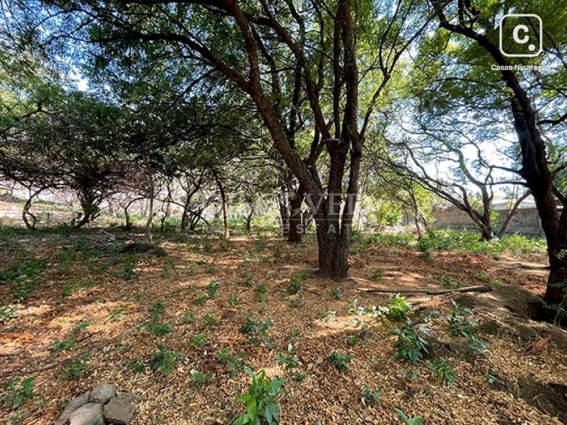 Terreno en venta en Carretera Vieja a León, Managua – 5,604 varas²