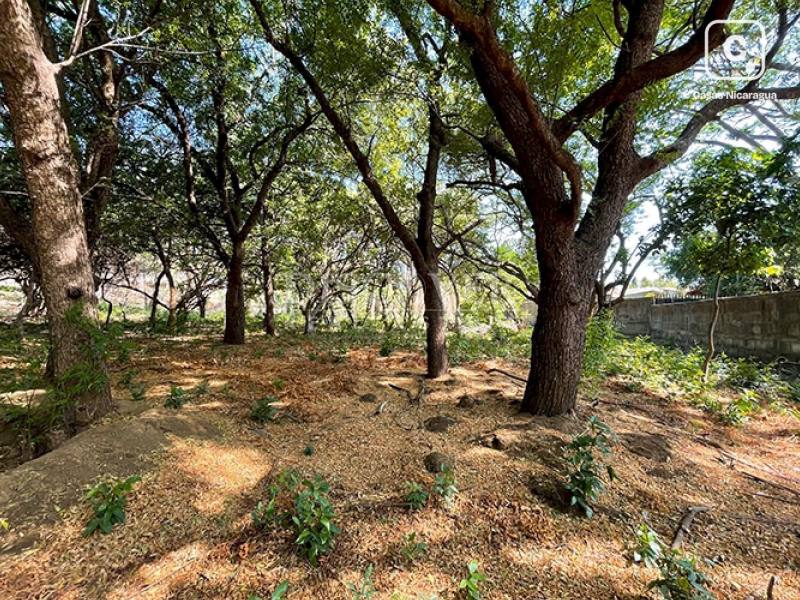 Terreno en venta en Carretera Vieja a León, Managua – 5,604 varas²