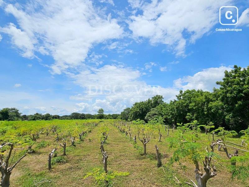 Terreno en venta en Carretera Nueva León, Managua – 600,000 varas²