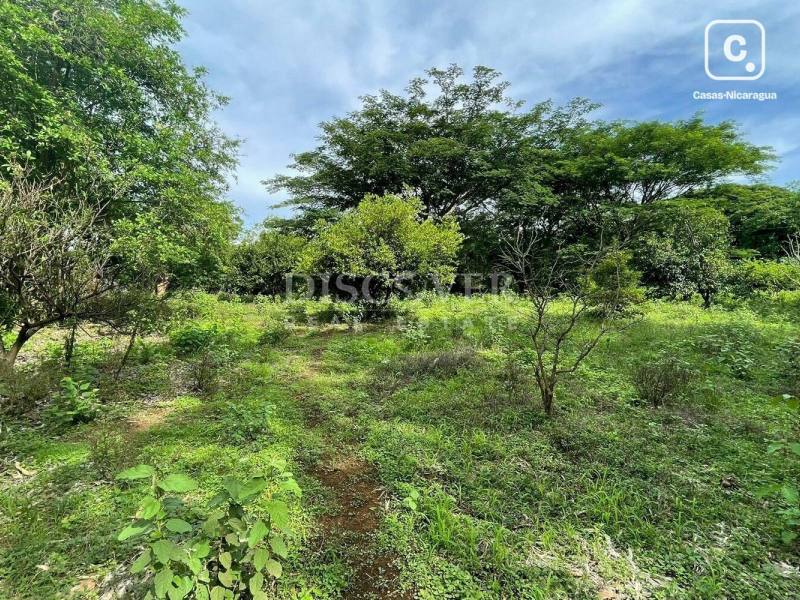 Terreno en venta en Carretera Sur, Managua – 45,498 varas²