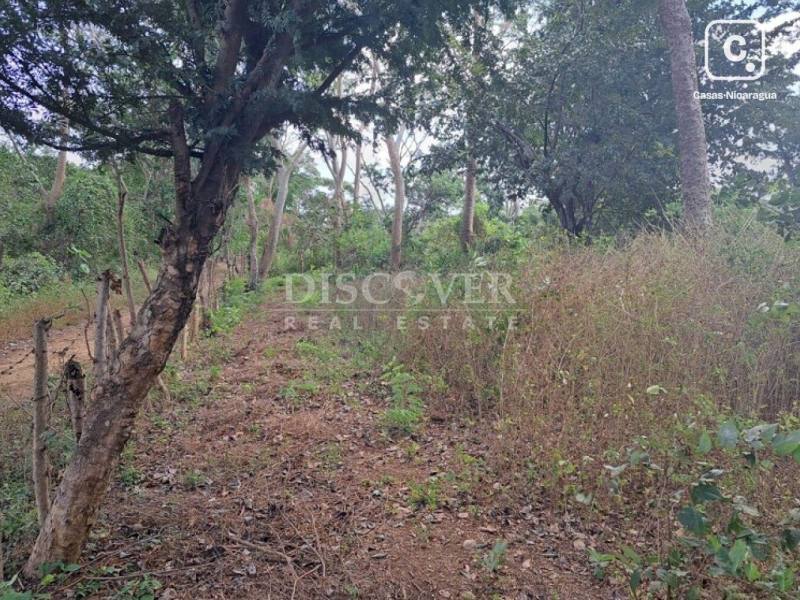Terreno en venta en Veracruz, Managua – 30,000 varas²